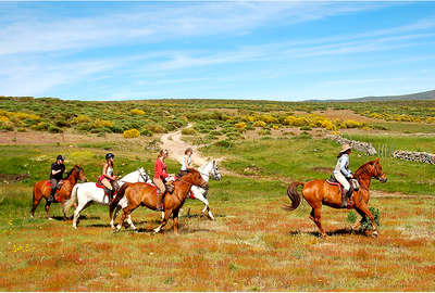 Horseback trails in the Gredos Valley Spain