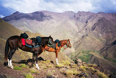 Horses and pack horses in Morocco, Atlas 