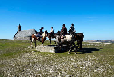 Horses and riders in brittany, france