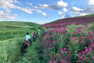 equestrian tours europe