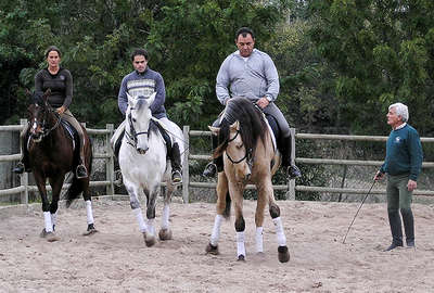 Lusitano horses and dressage lessons