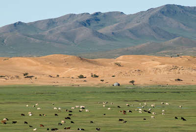 Mongolian scenery on a horseback holiday