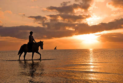 Mozambique and horse in sunset