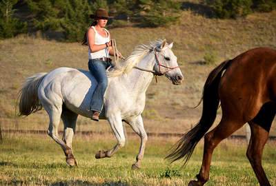 Natural horsemanship guest ranch in Montana