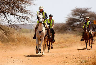 Okapuka endurance horseback in Namibia