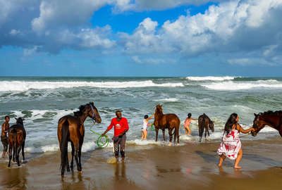 People leading the horses by the Indian Ocean