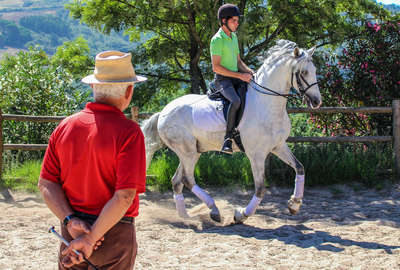 Rider enjoying a dresssage lesson with Georges Malleroni at Alcainça near Lisbon