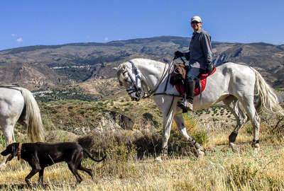 Rider on horseback accompanied by a dog