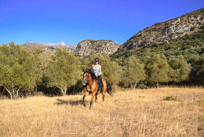 Rider on horseback in Crete