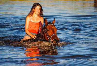 Rider swimming in her horse in South Africa