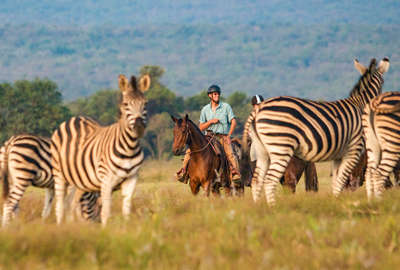 Rider watching zebra from horseback on safari