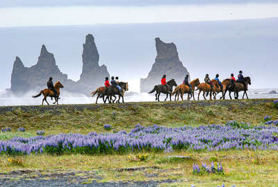 Riders enjoying a ride in Iceland