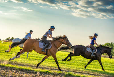 Riders enjoying an active riding holiday in Poland