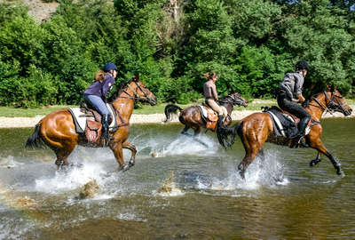 riders galloping in a river in Bulgaria