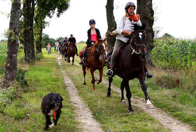 Riders in Poitou