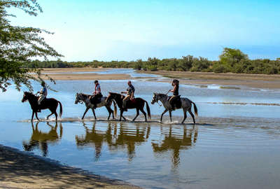 Riders in the Delta of the Sine Saloum