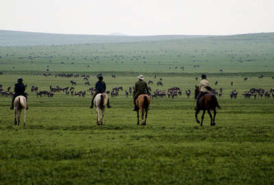 Riders in the Serengeti plains, Tanzania