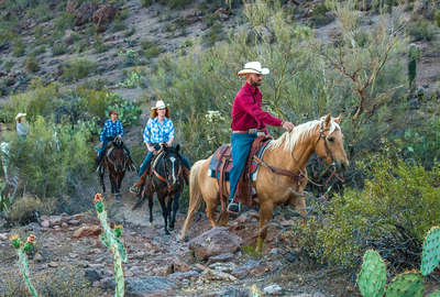 Riders riding western Quarter horses amongst cactii in Arizona