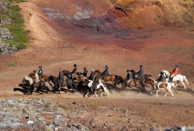 Riders tolting with a group of loose horses