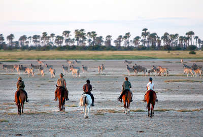 Riders walking along a plain in Botswana with zabras ahead