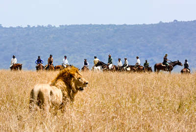 Riders watching a lion on a riding safari in the plains of the Mara in Kenya