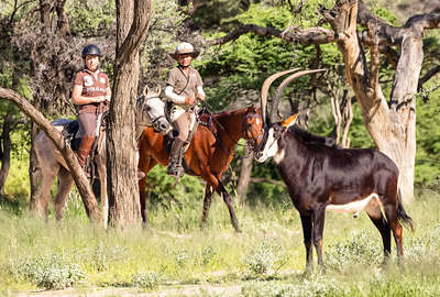 Riders watching a sable antelope at Okapuka in Namibia