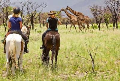 Riders watching giraffe on horseback