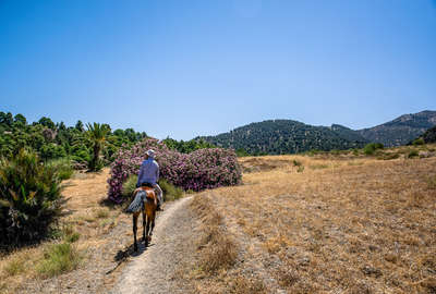 Riding holiday in the Atlas Moutains, Morocco