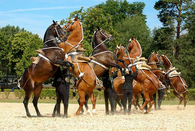 Riding in the world renowned Cadre Noir, France