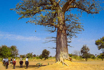 Riding trail ride in Senegal