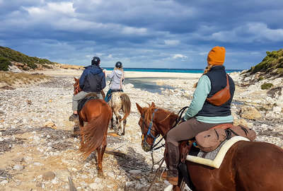 equestrian tours europe