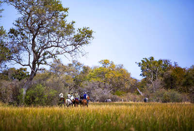Tracking wildlife on horseback in the Moremi Game reserve
