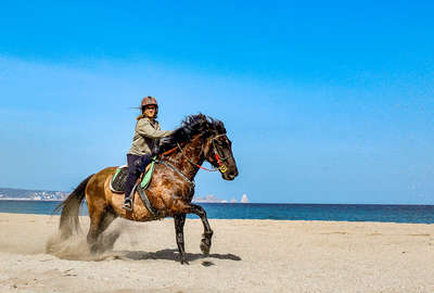 Young rider riding on the beach in Spain, Catalonia