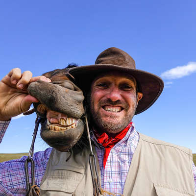 Dryhead working ranch and cattle drives