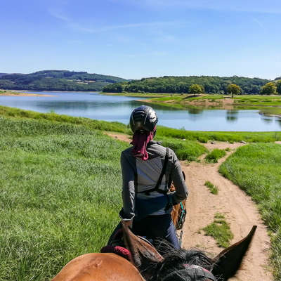Horseback rider in Burgundy