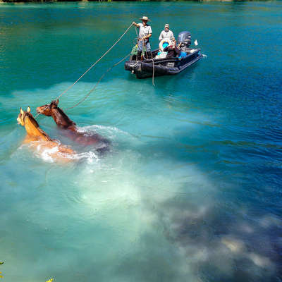 Horses crossing a river and gauchos on a boat