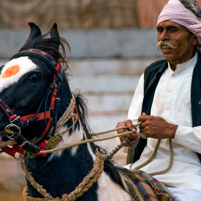 Rider and Marwari horse, Rajasthan