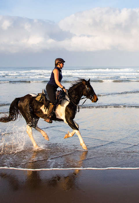 Rider cantering along the beach in South Africa