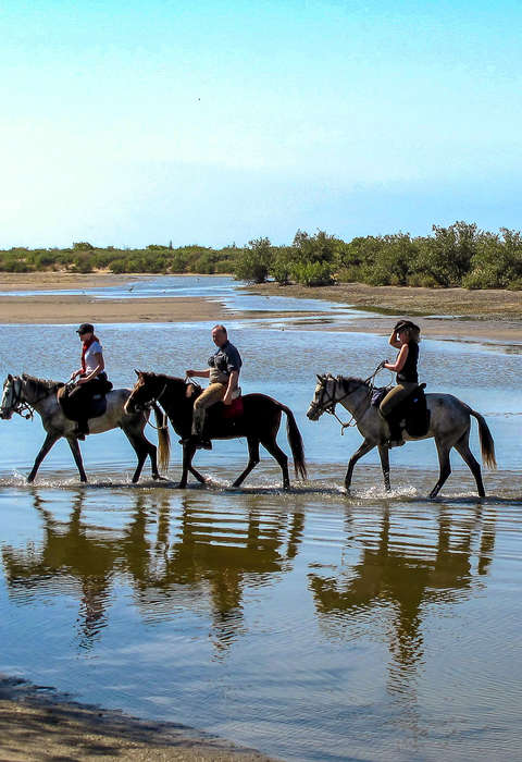 Riders in the Delta of the Sine Saloum