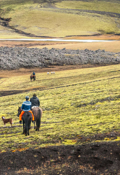 Discover the beauty of the Icelandic landscapes on horseback Riders riding icelandic horses in Iceland