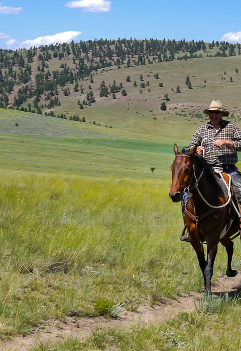 Trail riding in Montana on a ranch vacation
