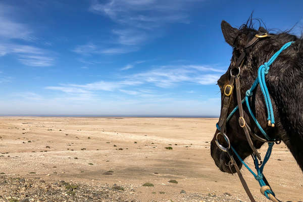 A desert in Namibia