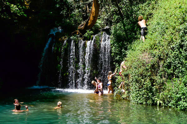 A group of horseback riders bathing in a spring in Kenya