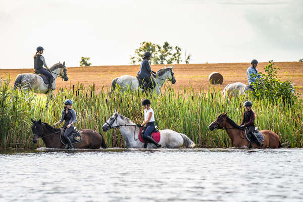 A group of riders on a riding holiday in Poland