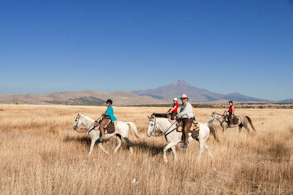 A group of riders riding their horses in a field