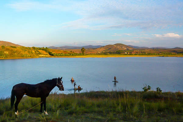 A horse resting by a lake in Madagascar