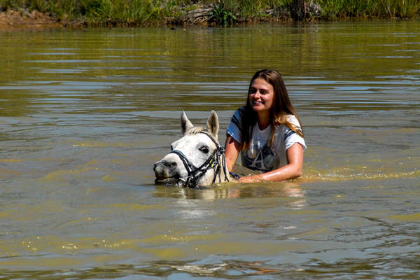 A horse safari in South Africa