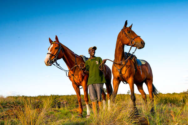 A man standing next to two horses in Kenya
