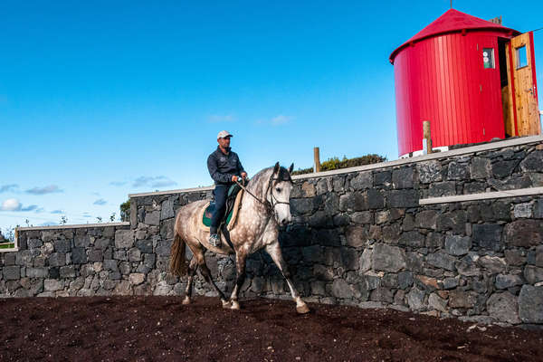 A rider training a Lusitano horse in Portugal
