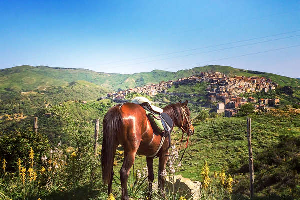 A trail riding horse in Sicily